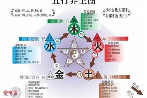 五行火旺的人|【五行火旺的人】五行火旺的人：特徵與影響